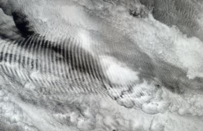 Satellite image of a gravity wave made visible in a deck of
clouds.